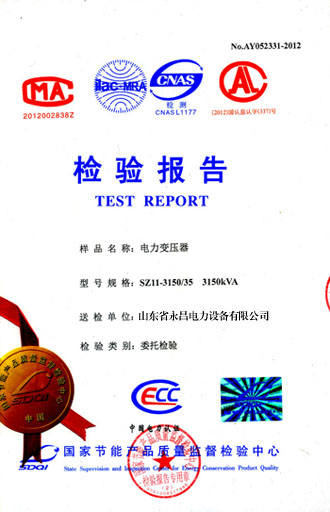 海东电力变压器检测报告